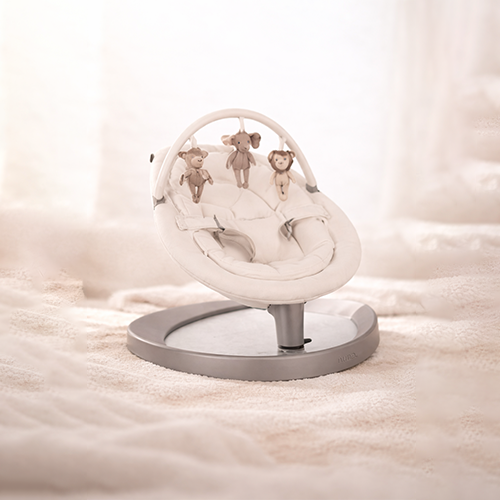 Baby Bouncers